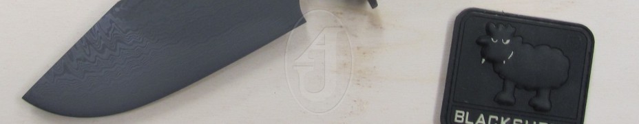 Opo