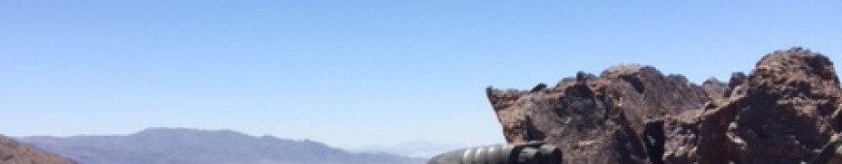 Bobcat in California desert