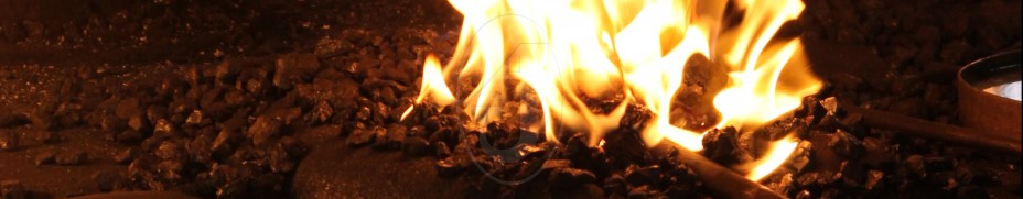 In the Forge